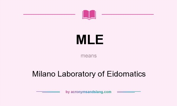 What does MLE mean? It stands for Milano Laboratory of Eidomatics