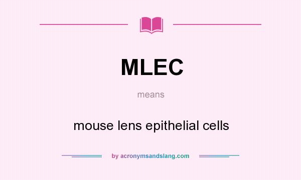 What does MLEC mean? It stands for mouse lens epithelial cells