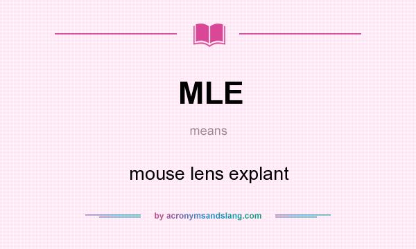 What does MLE mean? It stands for mouse lens explant