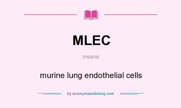 What does MLEC mean? It stands for murine lung endothelial cells