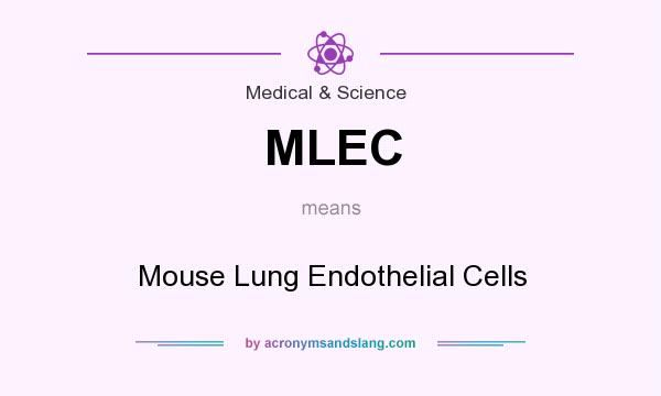 What does MLEC mean? It stands for Mouse Lung Endothelial Cells