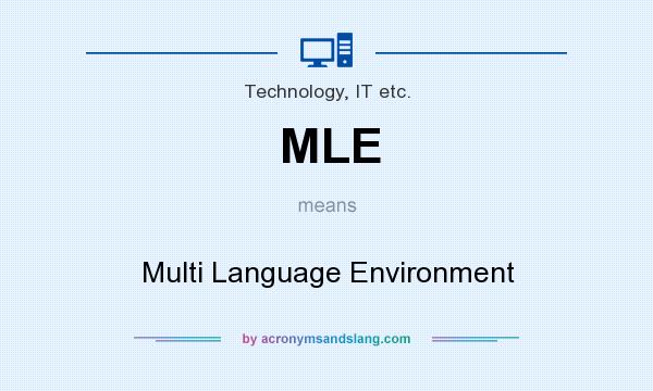 What does MLE mean? It stands for Multi Language Environment