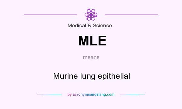 What does MLE mean? It stands for Murine lung epithelial