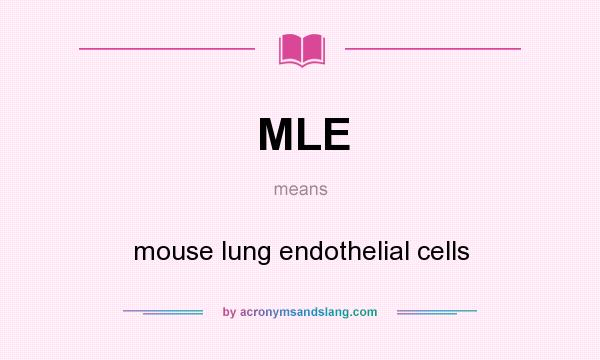 What does MLE mean? It stands for mouse lung endothelial cells