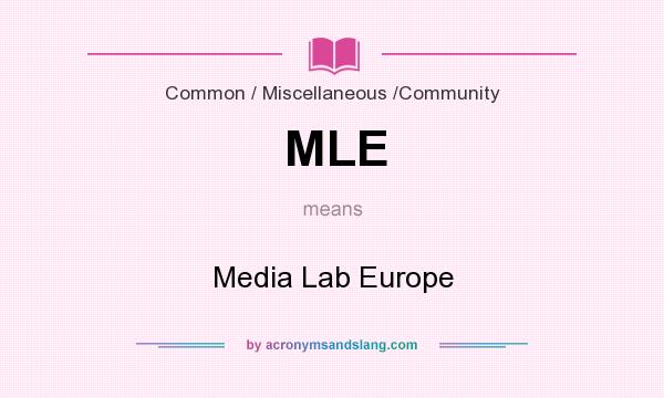 What does MLE mean? It stands for Media Lab Europe