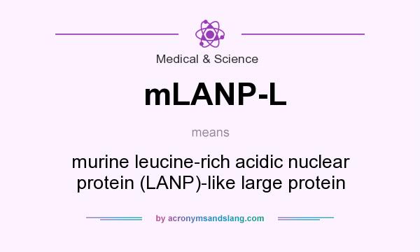 What does mLANP-L mean? It stands for murine leucine-rich acidic nuclear protein (LANP)-like large protein