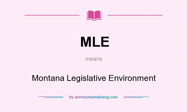 What does MLE mean? It stands for Montana Legislative Environment
