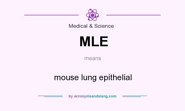 What does MLE mean? It stands for mouse lung epithelial