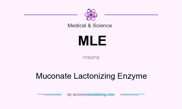 What does MLE mean? It stands for Muconate Lactonizing Enzyme