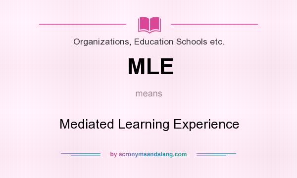 What does MLE mean? It stands for Mediated Learning Experience