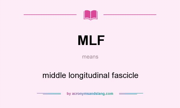 What does MLF mean? It stands for middle longitudinal fascicle