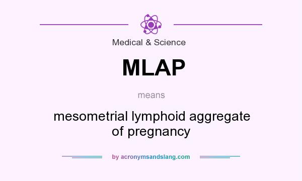 What does MLAP mean? It stands for mesometrial lymphoid aggregate of pregnancy