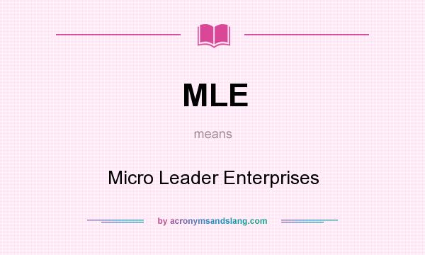What does MLE mean? It stands for Micro Leader Enterprises