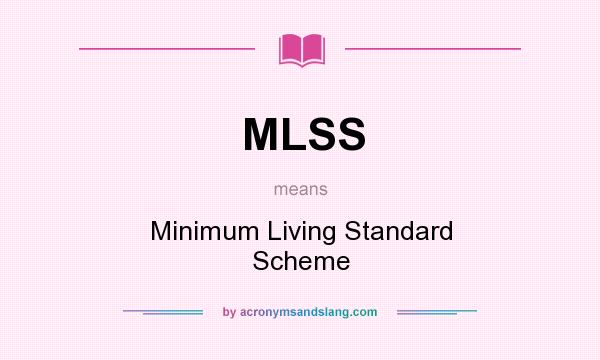 What does MLSS mean? It stands for Minimum Living Standard Scheme