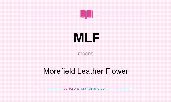 What does MLF mean? It stands for Morefield Leather Flower