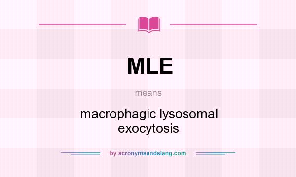 What does MLE mean? It stands for macrophagic lysosomal exocytosis