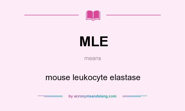 What does MLE mean? It stands for mouse leukocyte elastase