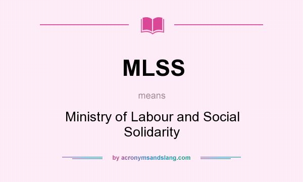 What does MLSS mean? It stands for Ministry of Labour and Social Solidarity