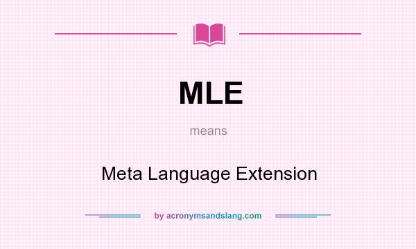 What does MLE mean? It stands for Meta Language Extension
