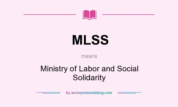 What does MLSS mean? It stands for Ministry of Labor and Social Solidarity