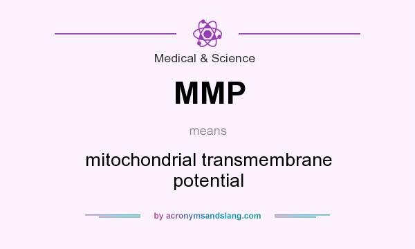 What does MMP mean? It stands for mitochondrial transmembrane potential
