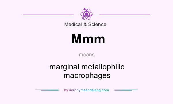 What does Mmm mean? It stands for marginal metallophilic macrophages