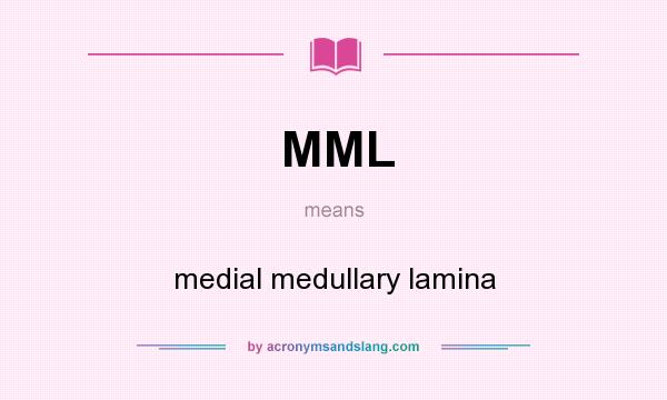 What does MML mean? It stands for medial medullary lamina