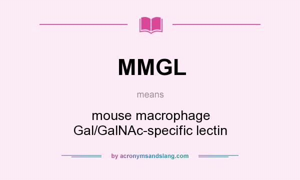What does MMGL mean? It stands for mouse macrophage Gal/GalNAc-specific lectin