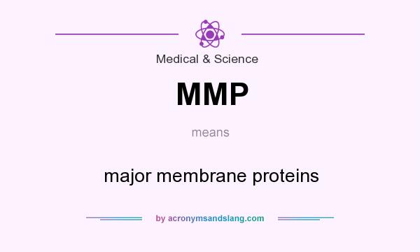 What does MMP mean? It stands for major membrane proteins