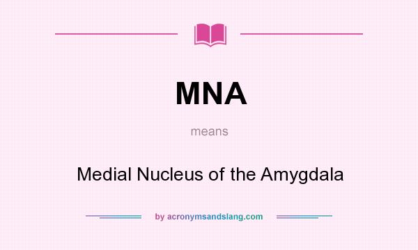 What does MNA mean? It stands for Medial Nucleus of the Amygdala
