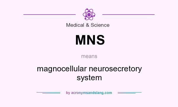 What does MNS mean? It stands for magnocellular neurosecretory system