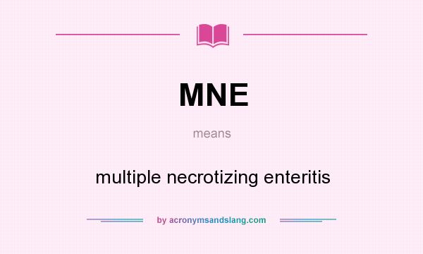 What does MNE mean? It stands for multiple necrotizing enteritis