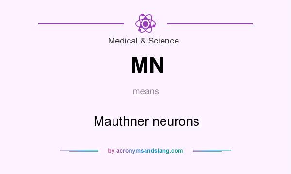 What does MN mean? It stands for Mauthner neurons