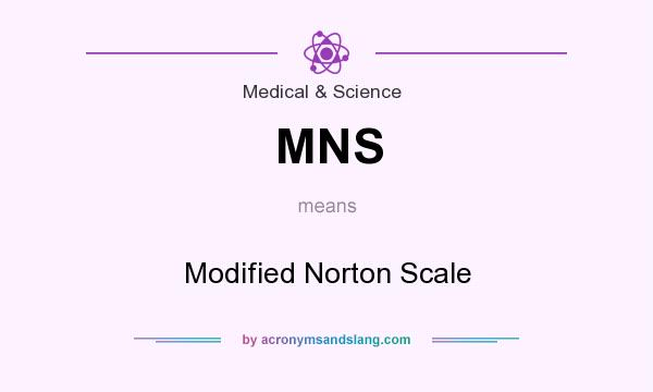 What does MNS mean? It stands for Modified Norton Scale