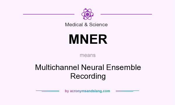 What does MNER mean? It stands for Multichannel Neural Ensemble Recording
