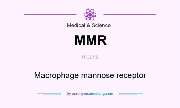What does MMR mean? It stands for Macrophage mannose receptor