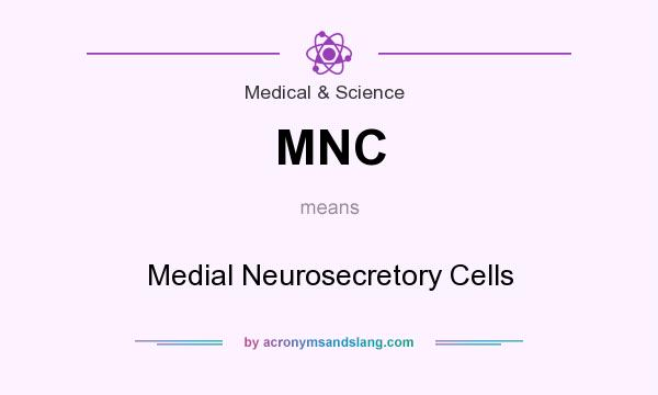 What does MNC mean? It stands for Medial Neurosecretory Cells