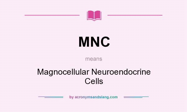 What does MNC mean? It stands for Magnocellular Neuroendocrine Cells