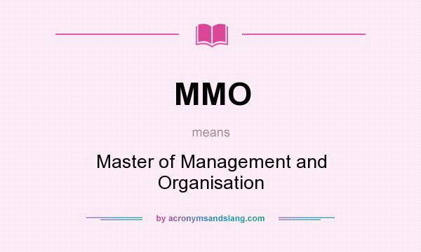 What does MMO mean? It stands for Master of Management and Organisation