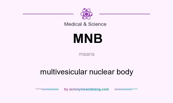 What does MNB mean? It stands for multivesicular nuclear body