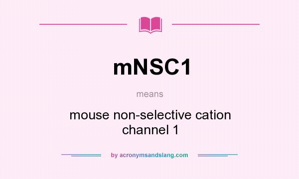 What does mNSC1 mean? It stands for mouse non-selective cation channel 1