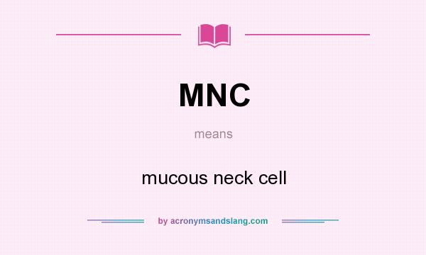 What does MNC mean? It stands for mucous neck cell