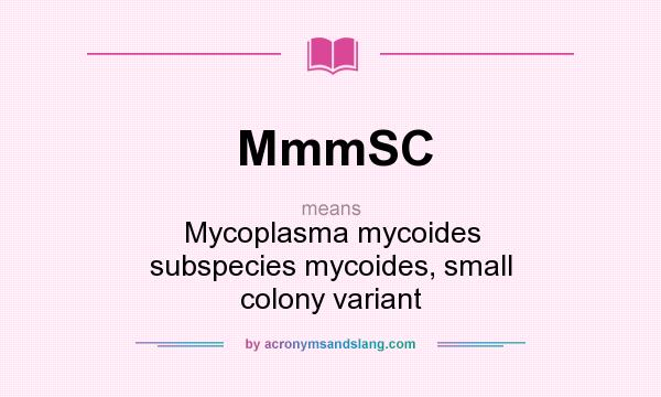 What does MmmSC mean? It stands for Mycoplasma mycoides subspecies mycoides, small colony variant