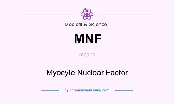 What does MNF mean? It stands for Myocyte Nuclear Factor