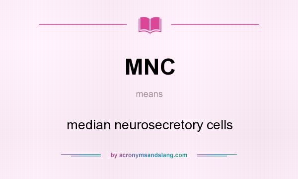 What does MNC mean? It stands for median neurosecretory cells