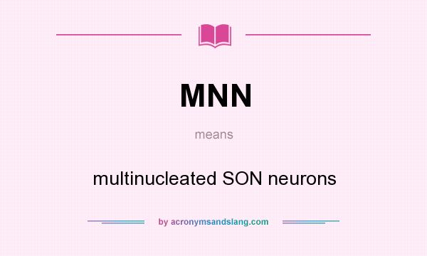 What does MNN mean? It stands for multinucleated SON neurons