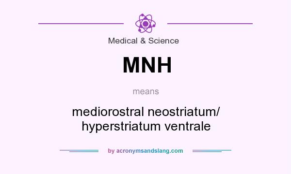 What does MNH mean? It stands for mediorostral neostriatum/ hyperstriatum ventrale
