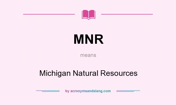 What does MNR mean? It stands for Michigan Natural Resources