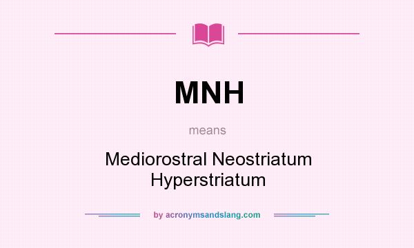 What does MNH mean? It stands for Mediorostral Neostriatum Hyperstriatum