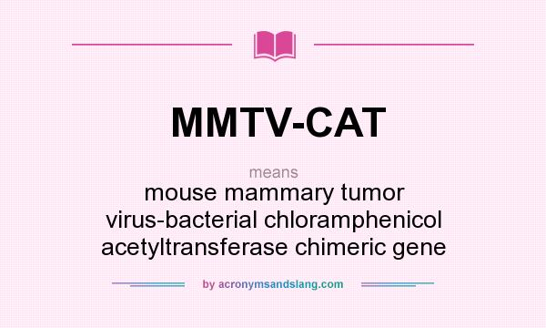 What does MMTV-CAT mean? It stands for mouse mammary tumor virus-bacterial chloramphenicol acetyltransferase chimeric gene